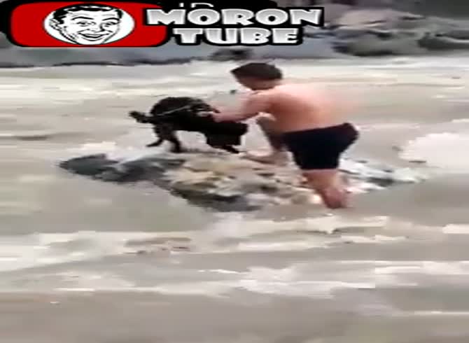 Video :In Pakistan, a man risks his life to rescue a puppy that is trapped in a torrential river